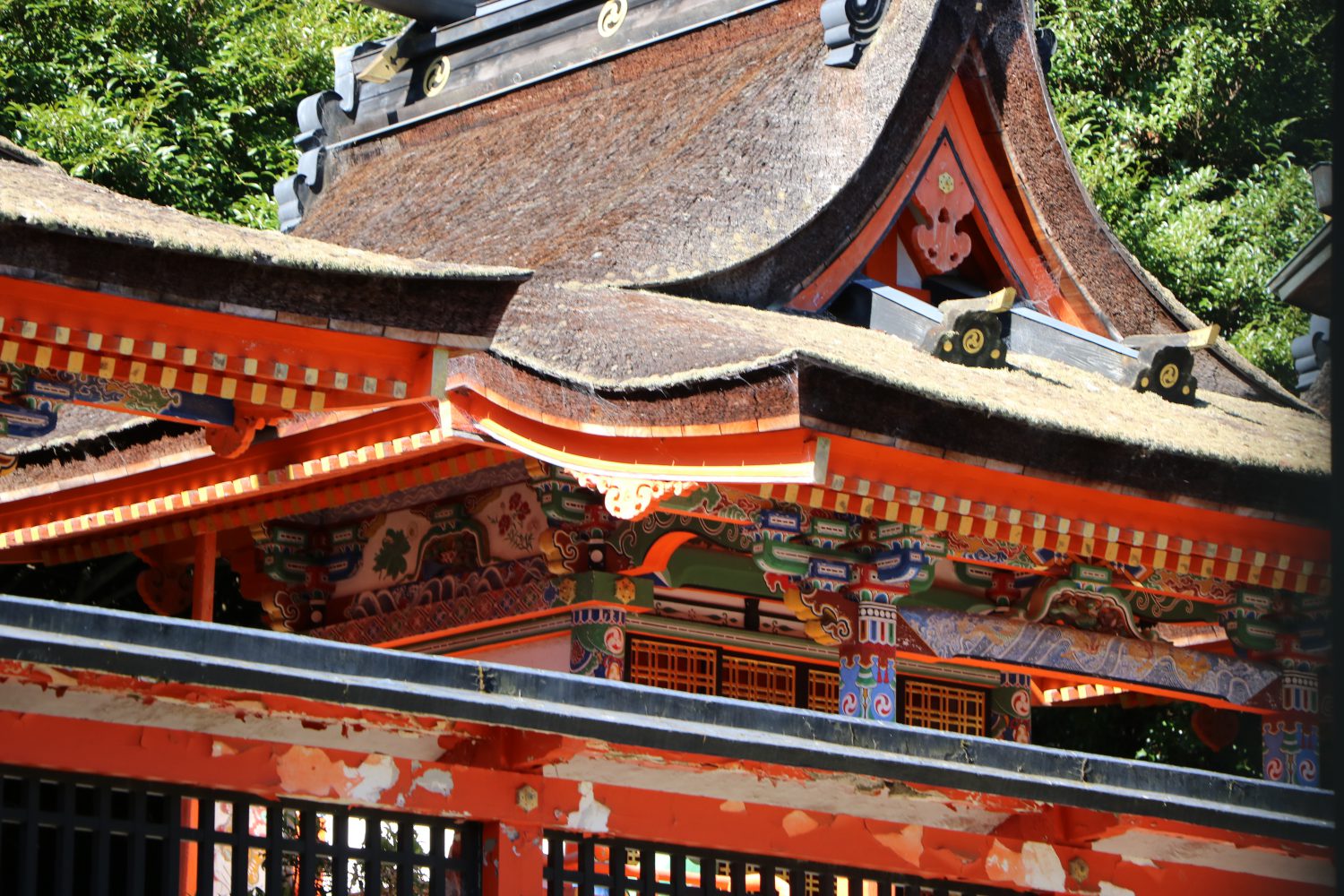 IMG_8146 | 宮大工 学校 大阪 一般社団法人 宮大工養成塾